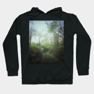 Life Path Hoodie